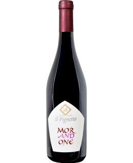 Vino Morandone il Pignetto