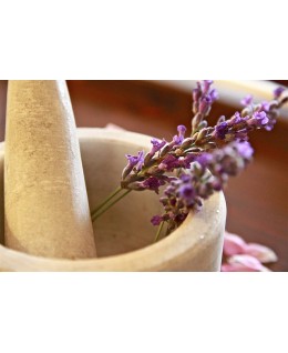 Tisana Tiglio e Lavanda